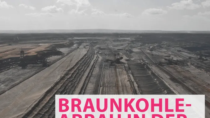 Deckblatt_Fallstudie_Braunkohle